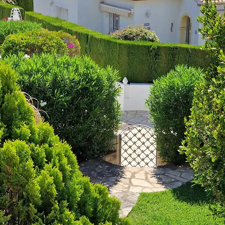 Santos 페드리구에르