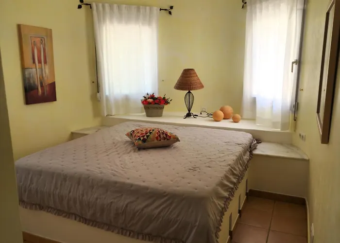 Santos Daire Pedreguer